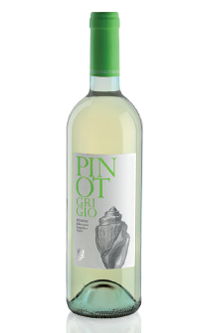 cantine-colli-euganei-pinot-grigio